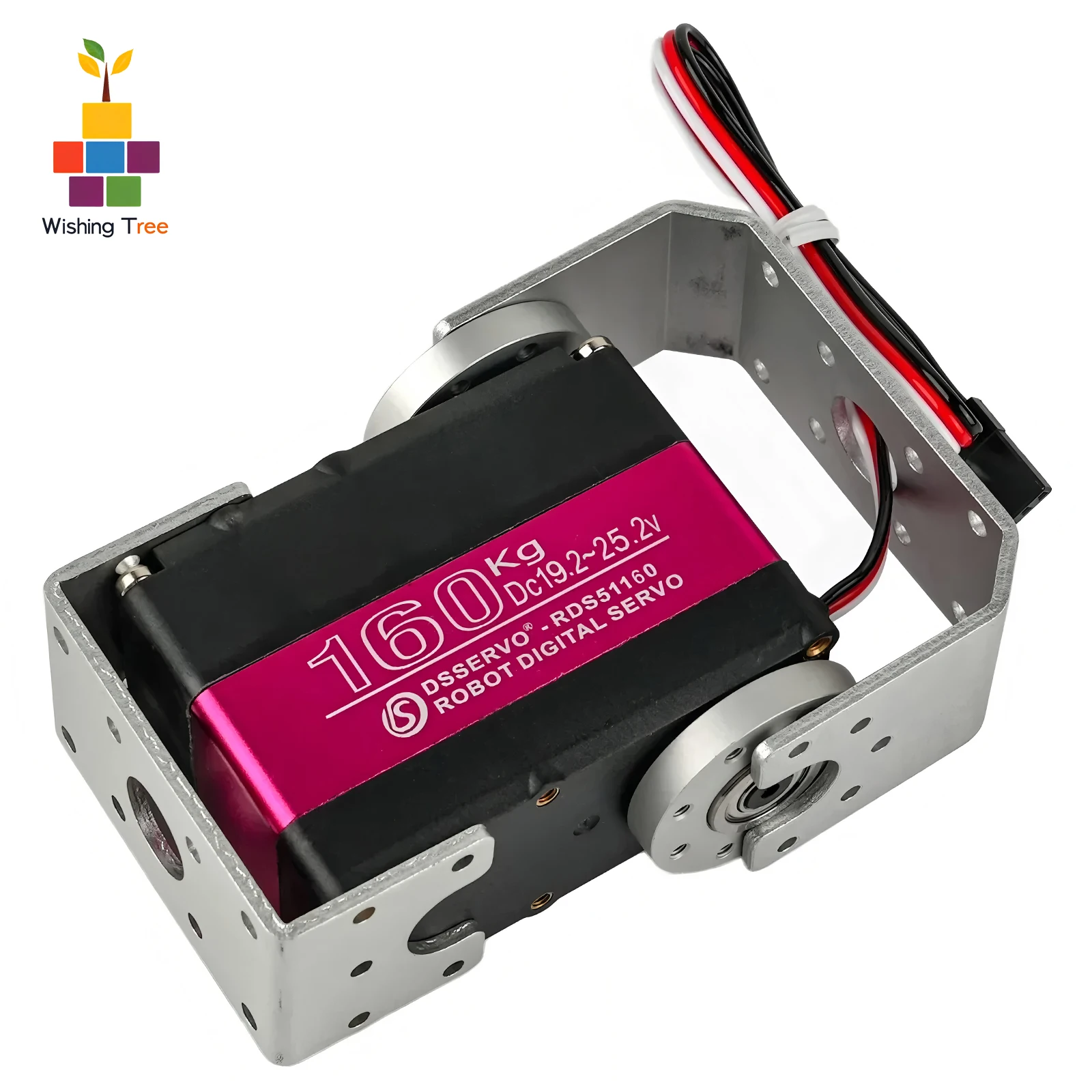 RDS51160 Digital Servo 24V 160 - Servo Bracket review and price