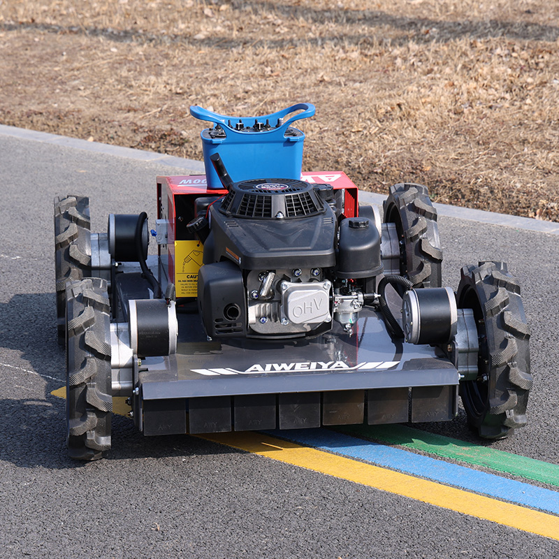 customized Remote Control Robo - Robot Wheel review and price