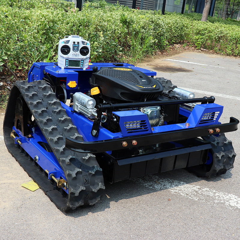 Portable Self propelled Intell - Robot Track review and price