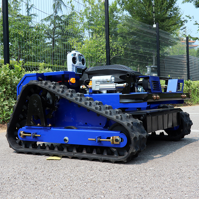 Portable Self propelled Intell - Robot Track review and price